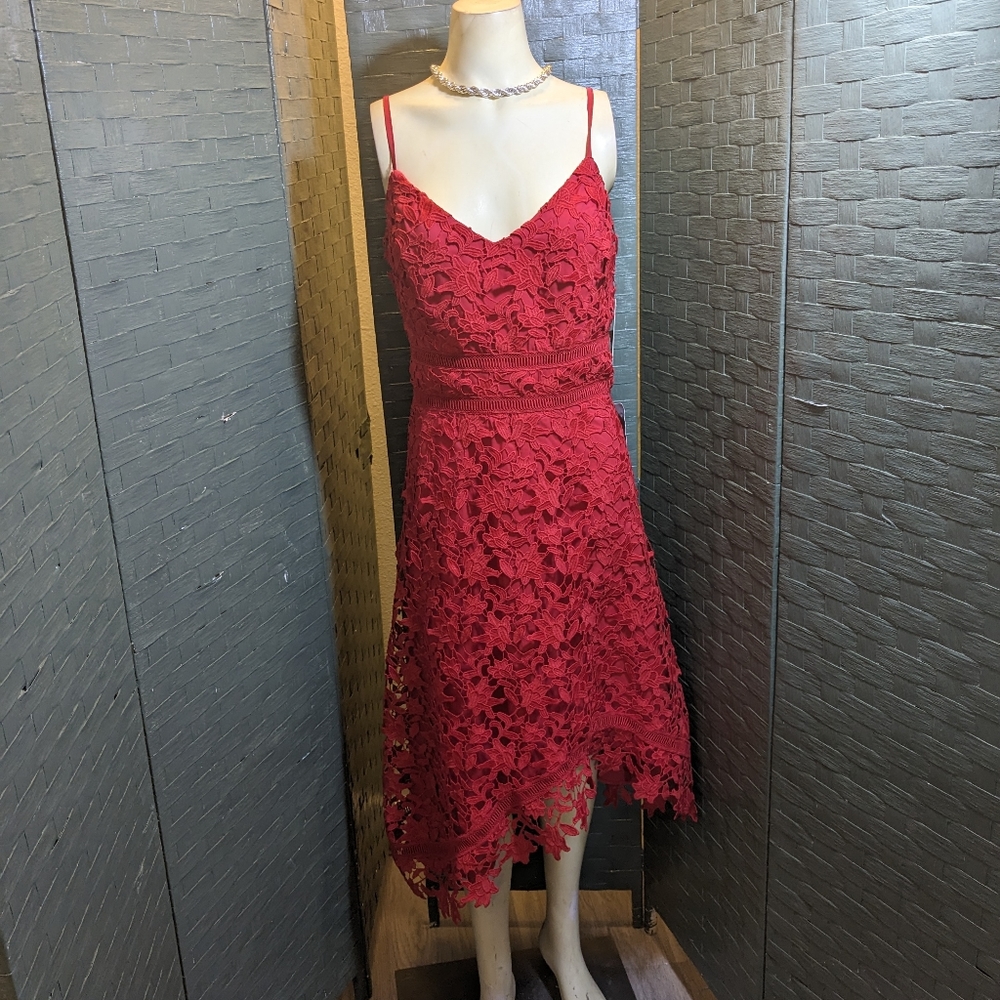 Eliza J Plus Size Lace Dress